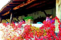 Calzoni-Lungarotti-2021-10-29-at-15.12.54-1