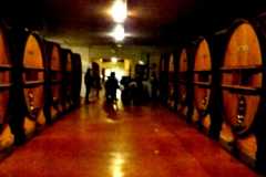 Calzoni-Lungarotti-2021-10-29-at-15.12.54