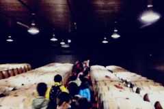 Calzoni-Lungarotti-2021-10-29-at-15.12.55-3