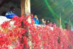 Calzoni-Lungarotti-2021-10-29-at-15.12.56-2