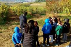 Calzoni-Lungarotti-2021-10-29-at-15.12.56-4