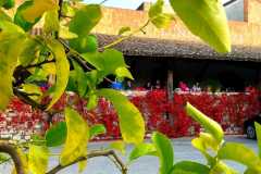 Calzoni-Lungarotti-2021-10-29-at-15.12.56