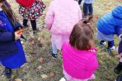 Image-2021-10-26-at-12.30.32