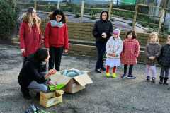 Edugreen-scuola-Calzoni-09