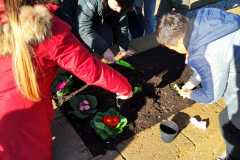 Edugreen-scuola-Calzoni-21