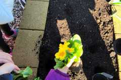 Edugreen-scuola-Calzoni-22