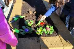 Edugreen-scuola-Calzoni-25