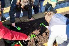 Edugreen-scuola-Calzoni-27