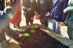 Edugreen-scuola-Calzoni-31