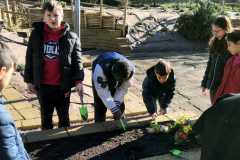 Edugreen-scuola-Calzoni-32