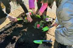 Edugreen-scuola-Calzoni-33