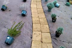 Preparazione-Edugreen-scuola-Calzoni-04