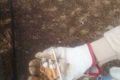 Ripuliamo-il-parco-2021-10-05-at-20.54.47