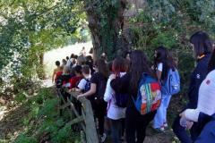 Sentiero-delle-lavandaie-17